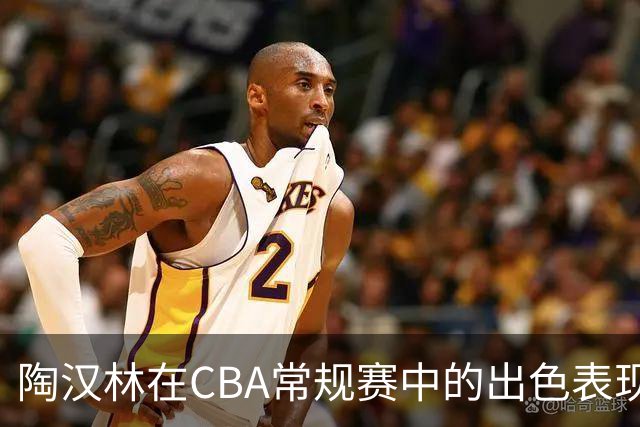 陶汉林在CBA常规赛中的出色表现分析